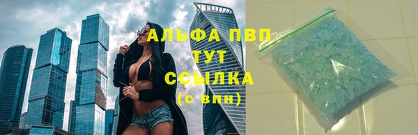 индика Волосово