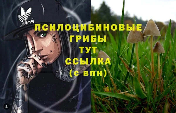 spice Волоколамск