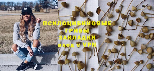индика Волосово