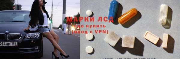 индика Волосово
