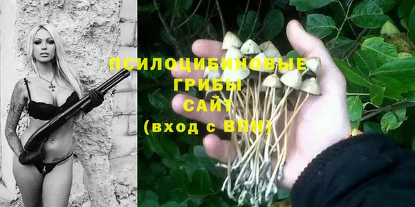 индика Волосово