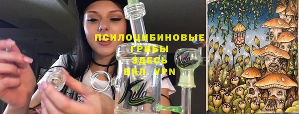 сатива Одинцово