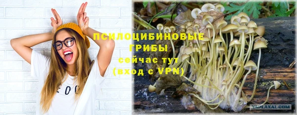 прущие грибы Долгопрудный