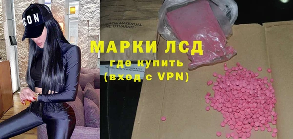 индика Волосово