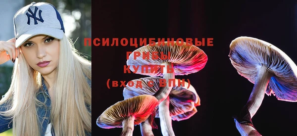 индика Волосово