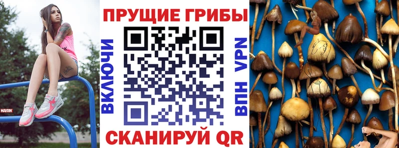 наркота  Галич  Псилоцибиновые грибы ЛСД 
